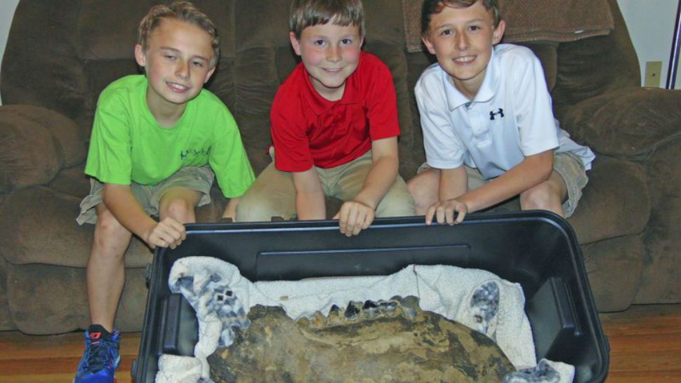 In this Monday, March 19, 2018 photo, Shawn Sellers, left Michael Mahalitc and Caid Sellers, display the lower left jawbone of a mastodon the found in a plowed up area of their family's property in the Bovina area in Vicksburg, Miss. (John Surratt/The Vicksburg Post via AP)