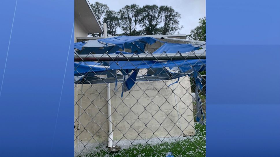 Tents that covered outdoor animal pens were shredded by hail Wednesday at the Brevard Humane Society's adoption center in Cocoa. (Courtesy of Brevard Humane Society)