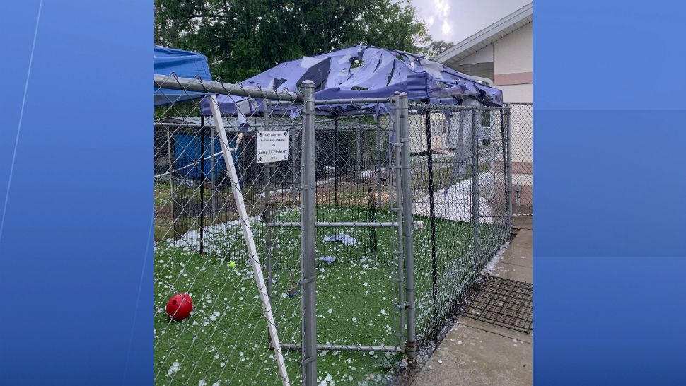 Brevard Humane Society Seeks Donations to Repair Hail Damage
