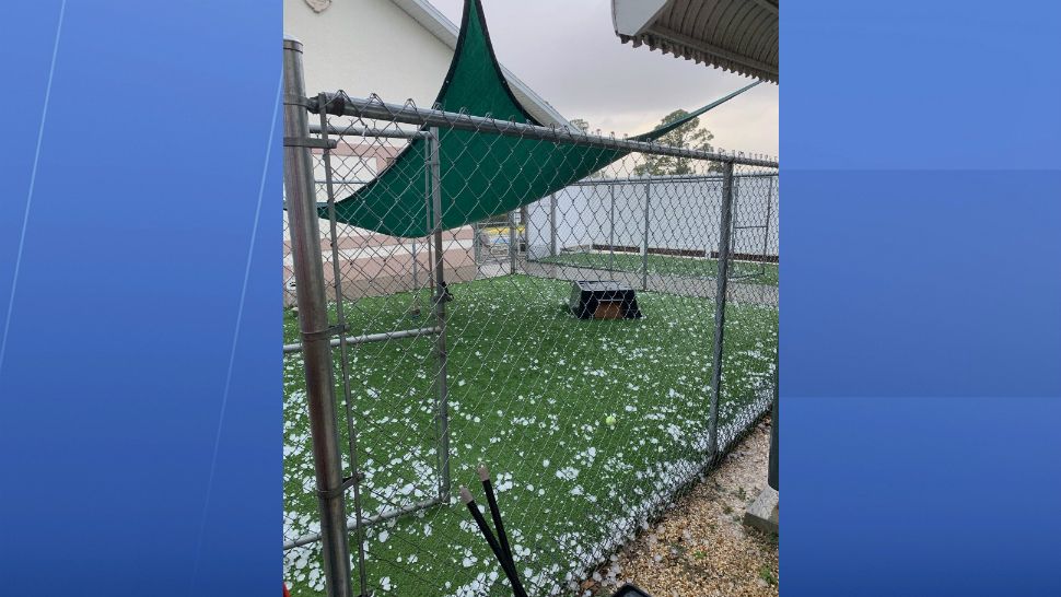 Brevard Humane Society Seeks Donations to Repair Hail Damage