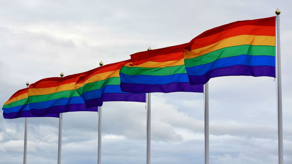 lgbt flags