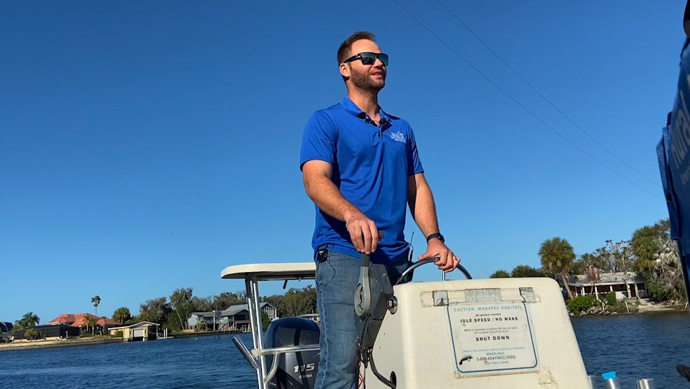 Seagrass restoration for manatees on Florida's east coast - Vimarsana News