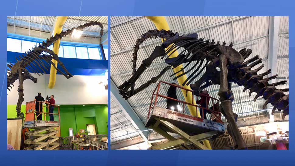 Mosi And San X Video - On the Town: New MOSI Offering Spotlights Dinosaurs