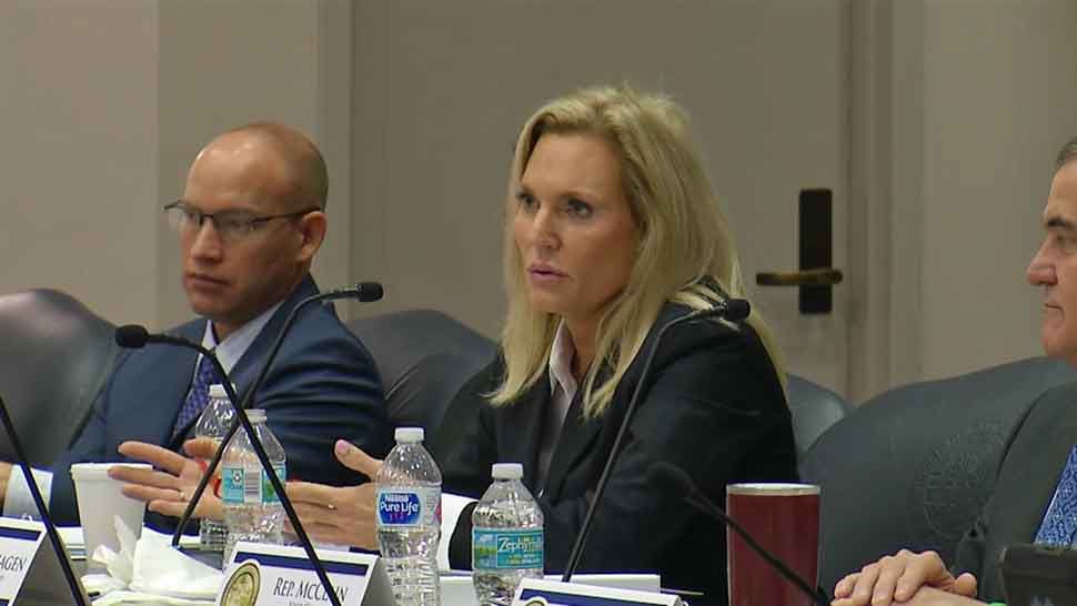 Rep. Heather Fitzenhagen (R-Fort Myers) speaks during a Florida House Criminal Justice Subcommittee meeting on Tuesday, March 12, 2019. (Spectrum Bay News 9)