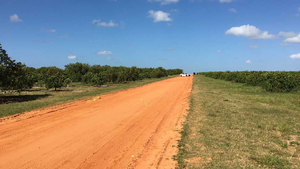 Officials say the body was found in the grove off Mud Lake Road in the unincorporated community of Alturas, between Lake Wales and Bartow, at about 7:45 a.m. Thursday by grove caretakers. (Polk County Sheriff's Office)