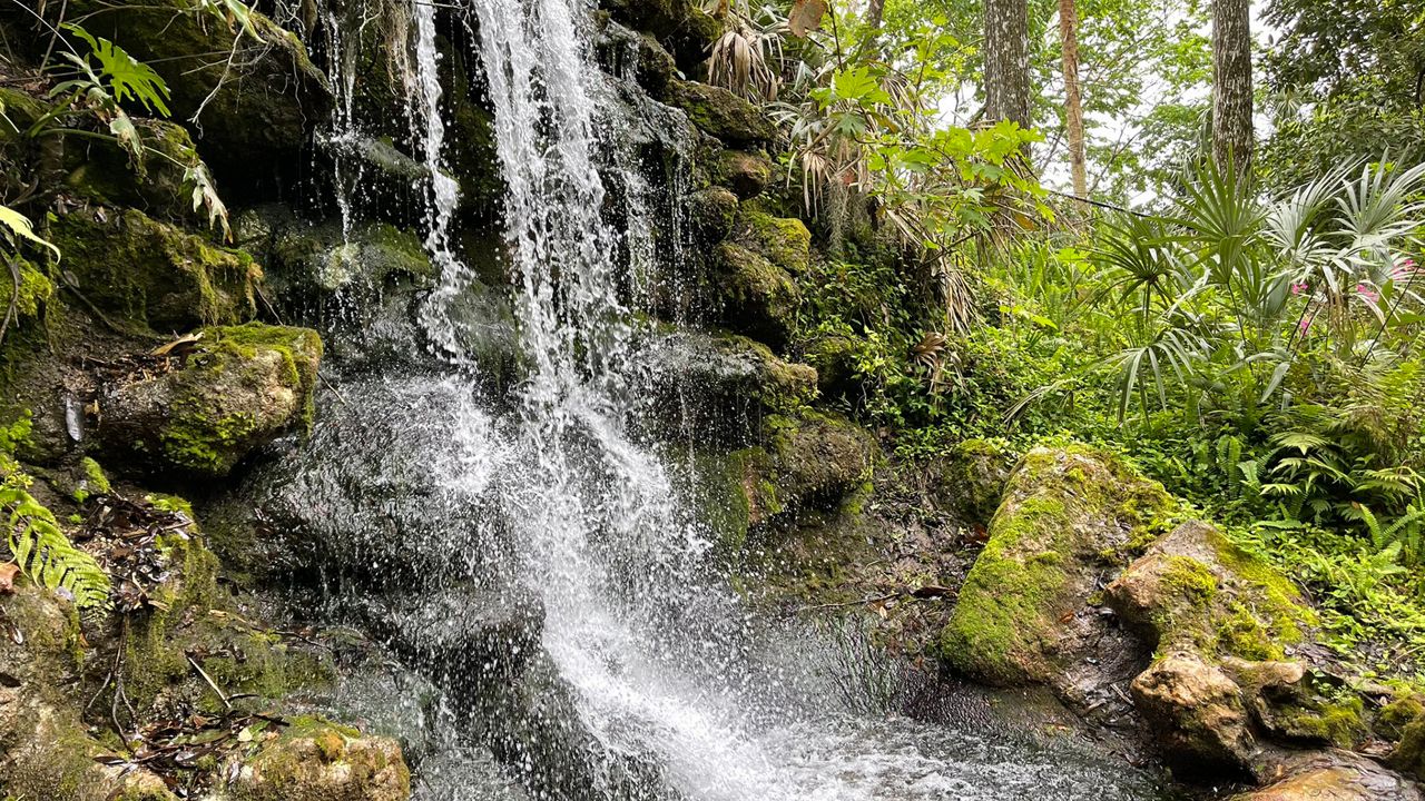 Trekking Through Rainbow Springs State Park