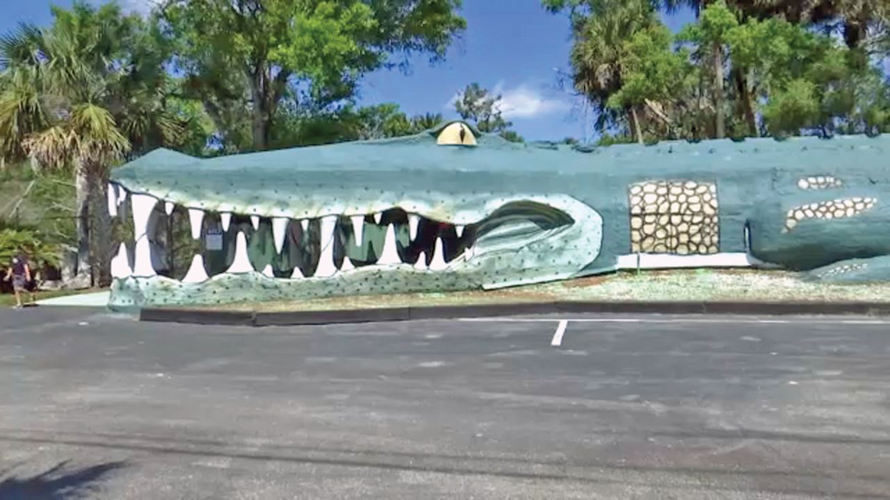 Largest Man-Made Gator Lives at Jungle Adventures