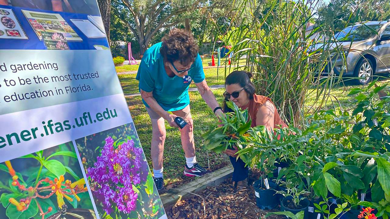 On the Town: Earth Day Celebration in Dade City
