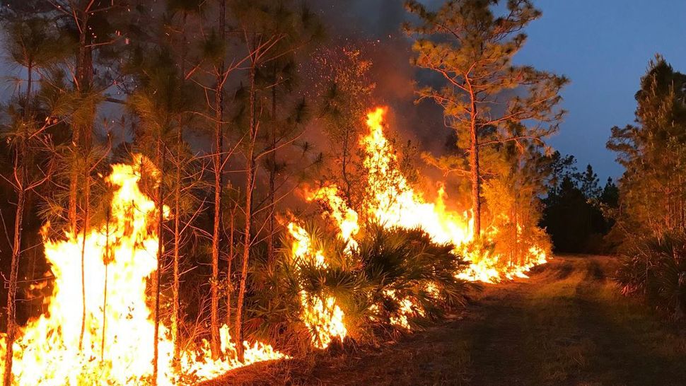 The "Triangle" brush fire at Interstate 4 and State Road 417 is about 90 percent contained on Wednesday, April 25, 2018. (Florida Forest Service)
