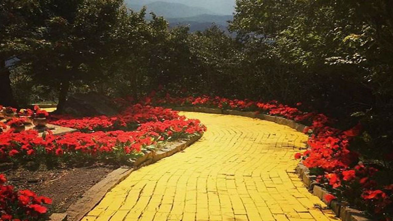 image of yellow brick road