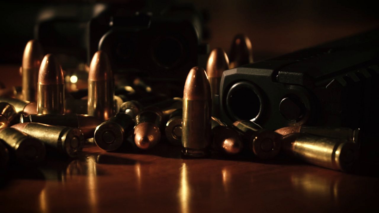 bullets and a gun