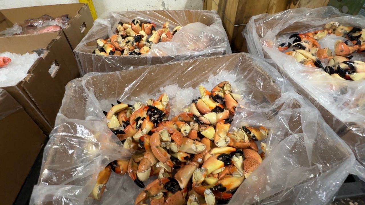 Detwiler’s Farm Market partners with Cortez fishing company for seafood