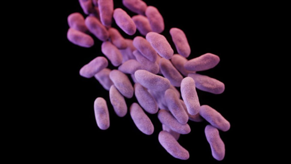 The CDC is warning state health departments about an antibiotic resistant "nightmare bacteria." 