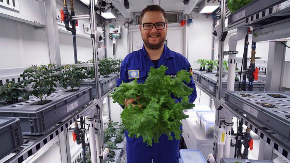 The undated photo provided by the German aerospace center (DLR) shows engineer Paul Zabel with fresh salad he harvested in the EDEN-ISS greenhouse at the Neumeyer-Station III on Antarctica. The project without soil but with a closed water cycle, optimized lightning and carbon dioxide levels is a test to become part of the nutrition for astronauts in future moon or mars missions. 