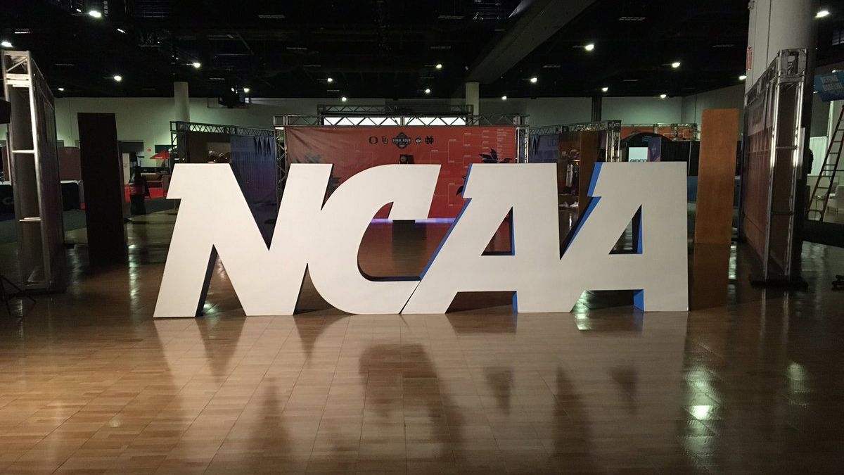 Four of the best women's college basketball teams take the court in Tampa this weekend — facing off in the NCAA Final Four. (Fallon Silcox/Spectrum News)