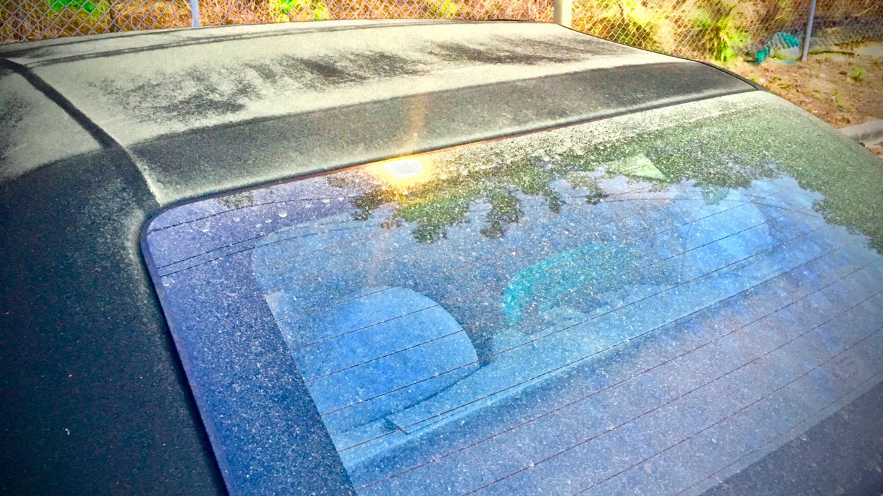 Pollen on the car