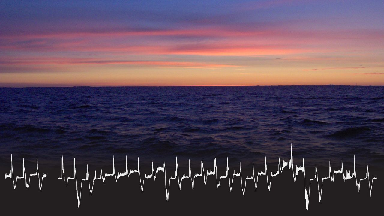 A view of Lake Michigan and a graph of its warming water temperatures