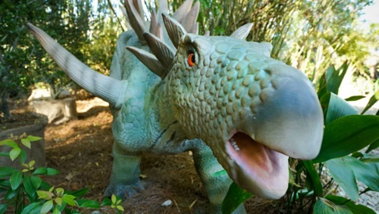 the dino experience