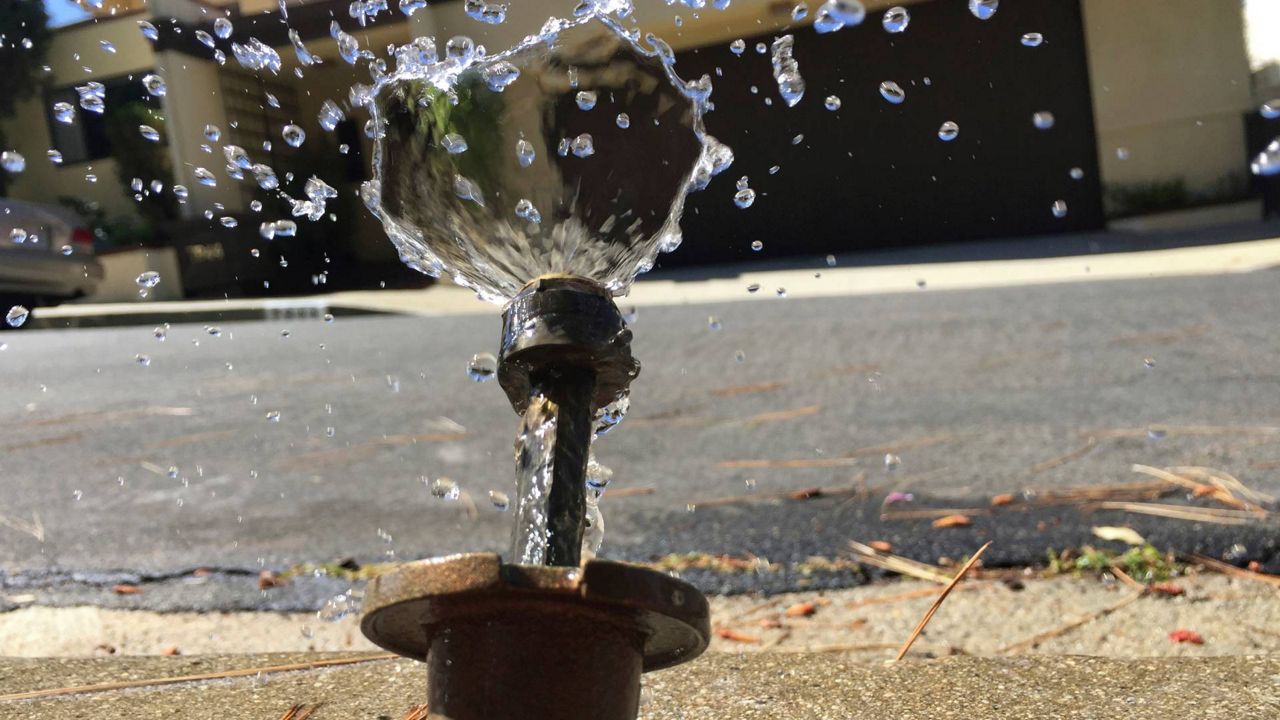 In this April 8, 2015, file photo, water runs off from a sprinkler in Mount Olympus, a neighborhood in the Hollywood Hills area of Los Angeles. (AP Photo/Damian Dovarganes)