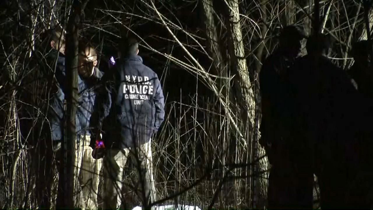 People in blue NYPD jackets, wearing khaki pants, stand near a bevy of short tree branches. Three people stand about five feet to the right of them, covered in shadow.