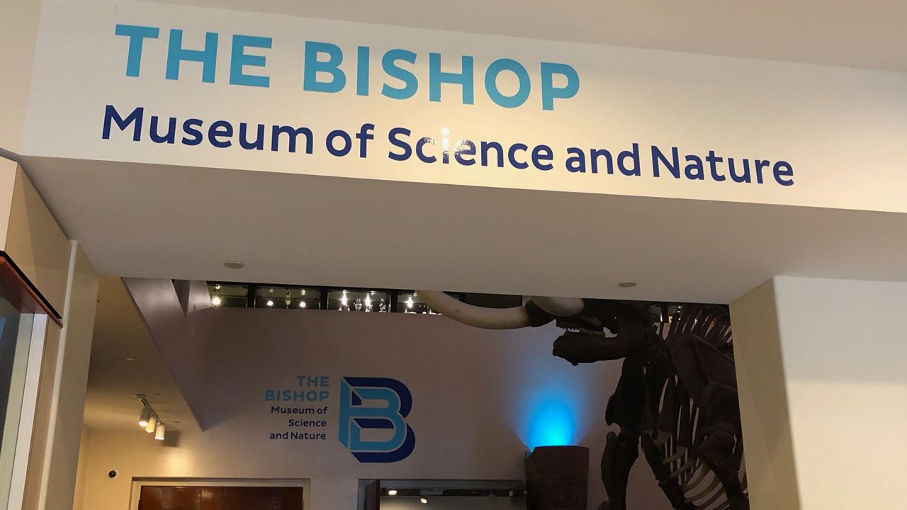 Officials announced Wednesday that after 73 years, the museum is re-branding and will be called The Bishop Museum of Science and Nature. (Angie Angers/Spectrum Bay News 9)