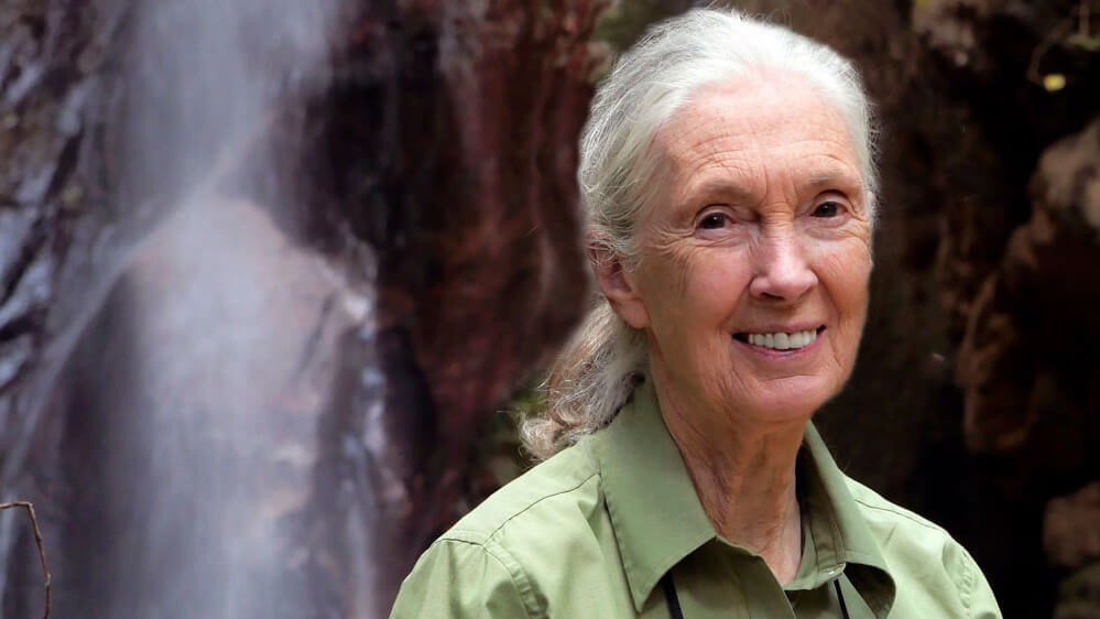 https://s7d2.scene7.com/is/image/TWCNews/04122022_la_janegoodall_04122022