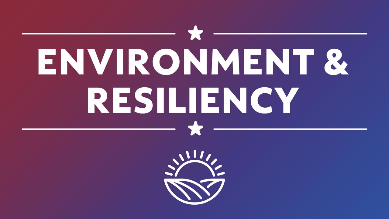 environment and resiliency