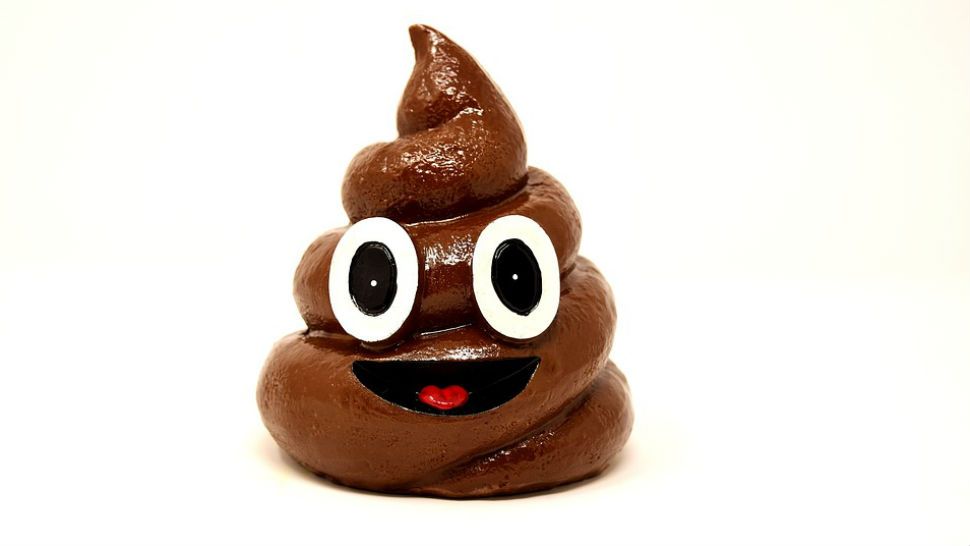 FILE- Poop emoji sculpture. 