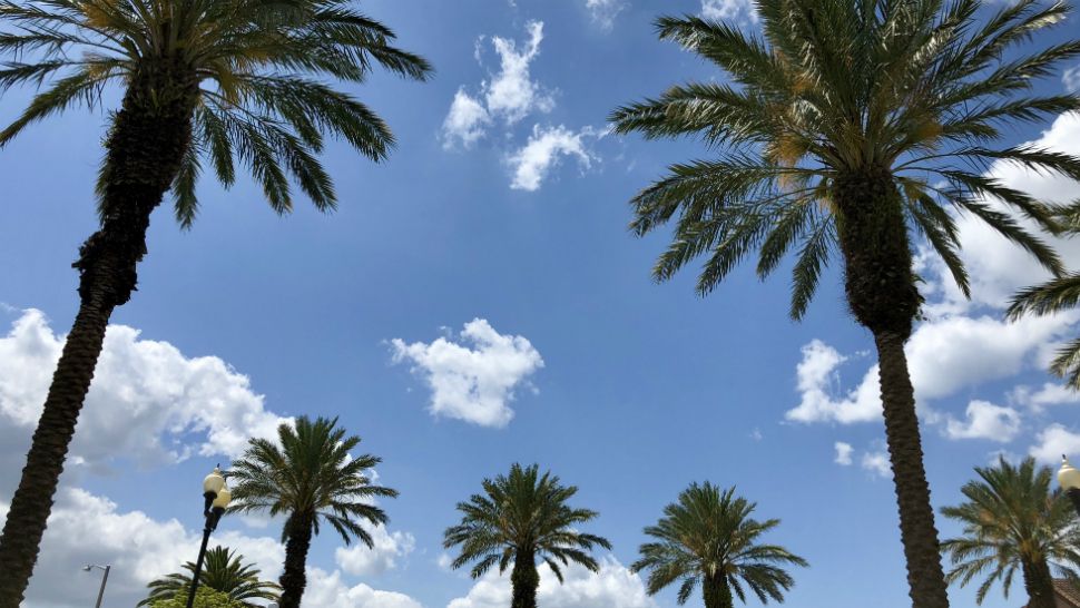 Sent to us via the Spectrum News 13 app: Blue skies and billowy clouds over the Dr. Phillips area of Orange County on Friday afternoon, April 13, 2018. (Karen Lary, viewer)