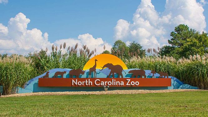 New Additions Coming to the North Carolina Zoo