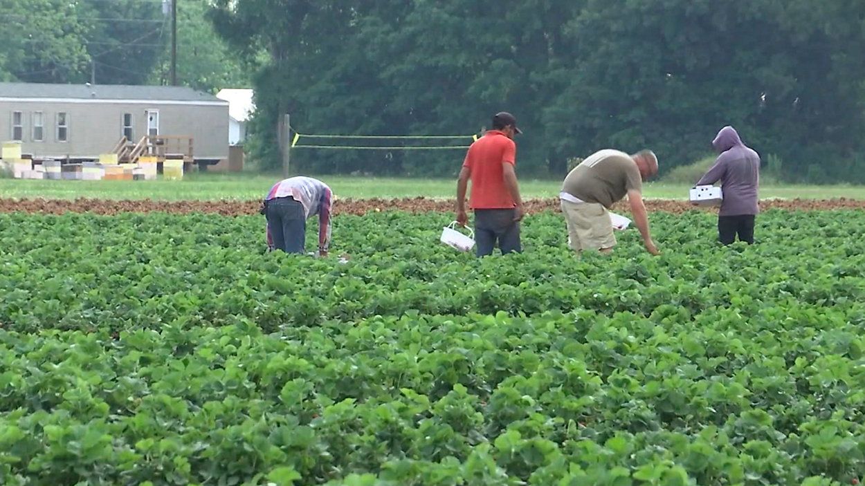 New regulations to streamline farm worker housing in Hillsborough