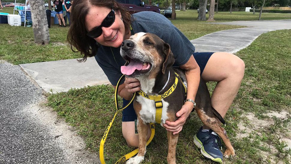 New Dog Park Opens in Melbourne