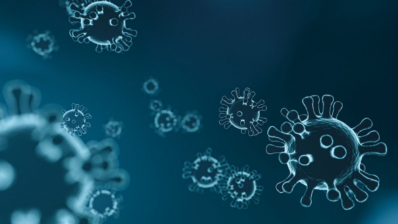 Illustration of the coronavirus (Pixabay)