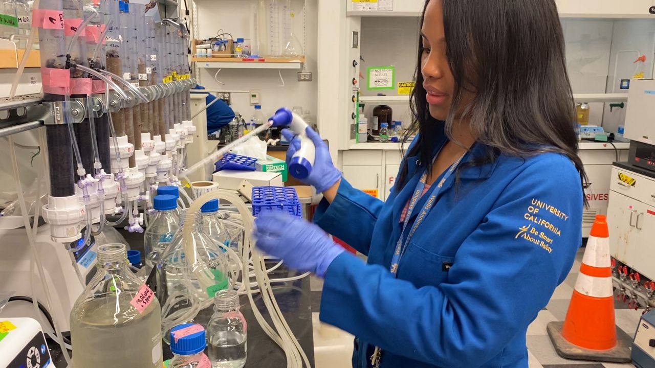 Researchers look at how biofilters can protect waterways - Vimarsana News