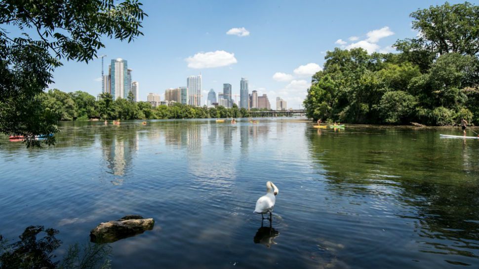 Austin skyline