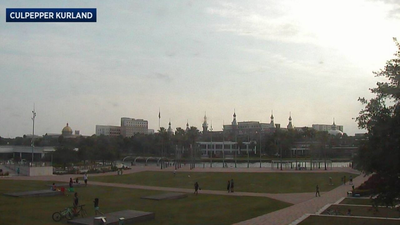 People enjoy the warm Sunday evening at Tampa's Curtis Hixon Park. (Sky 9 weather camera)