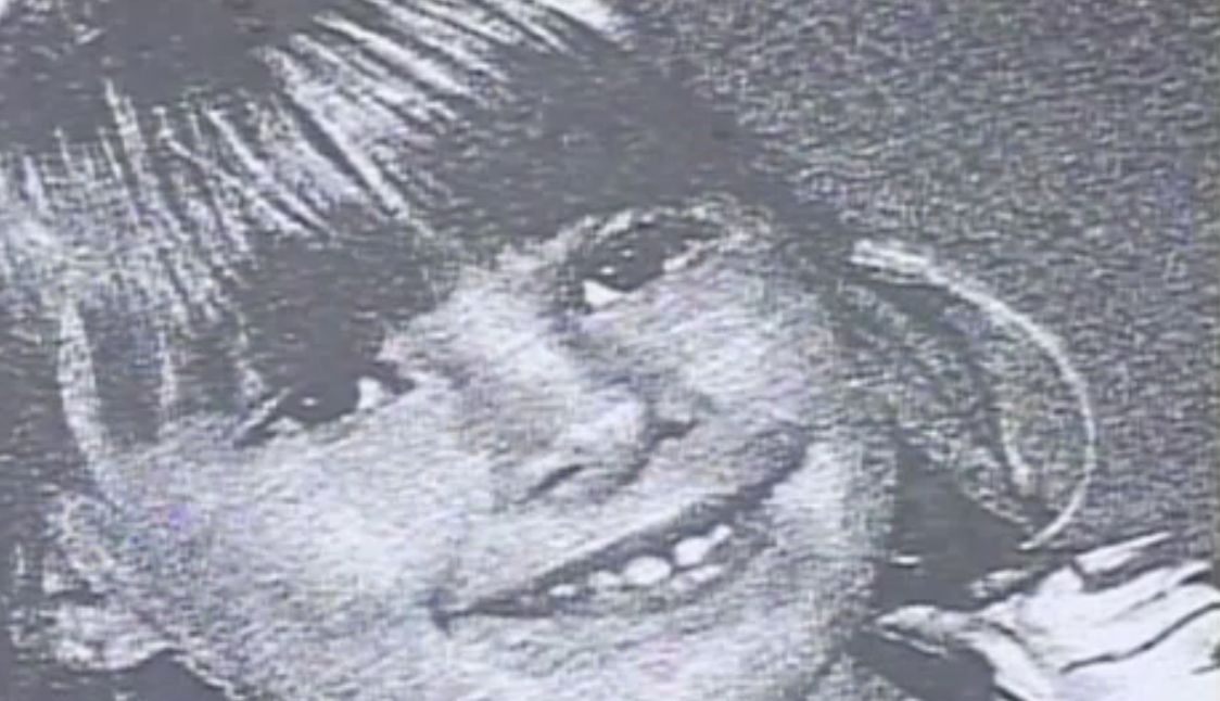 brittany fish childhood