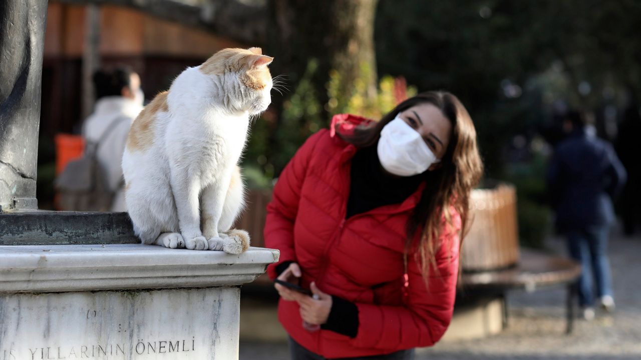 A woman in a mask looks at a cat