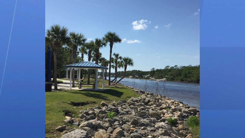 Sent to us via the Spectrum News 13 app: It was a gorgeous day Thursday at Waterfront Park in Palm Coast, with dolphins and manatees occasionally peeking through the surface of the water. (Nina Paolucci, viewer)