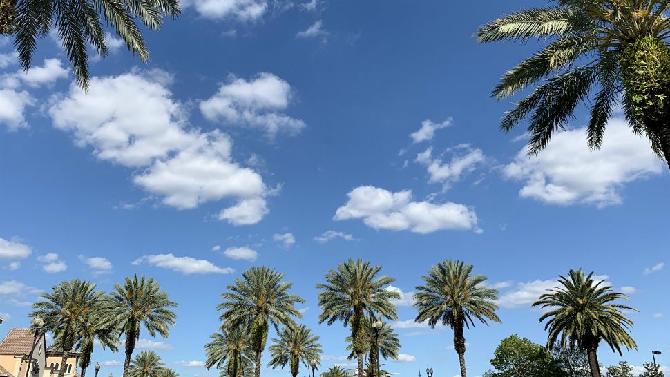 Sent to us with the Spectrum News 13 app: Beautiful, bright, and sunny in the Dr. Phillips area Tuesday afternoon. (Karen Lary/viewer)