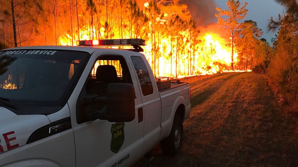 Florida Forest Service is working a fire at Interstate 4 and State Road 417 Tuesday night.