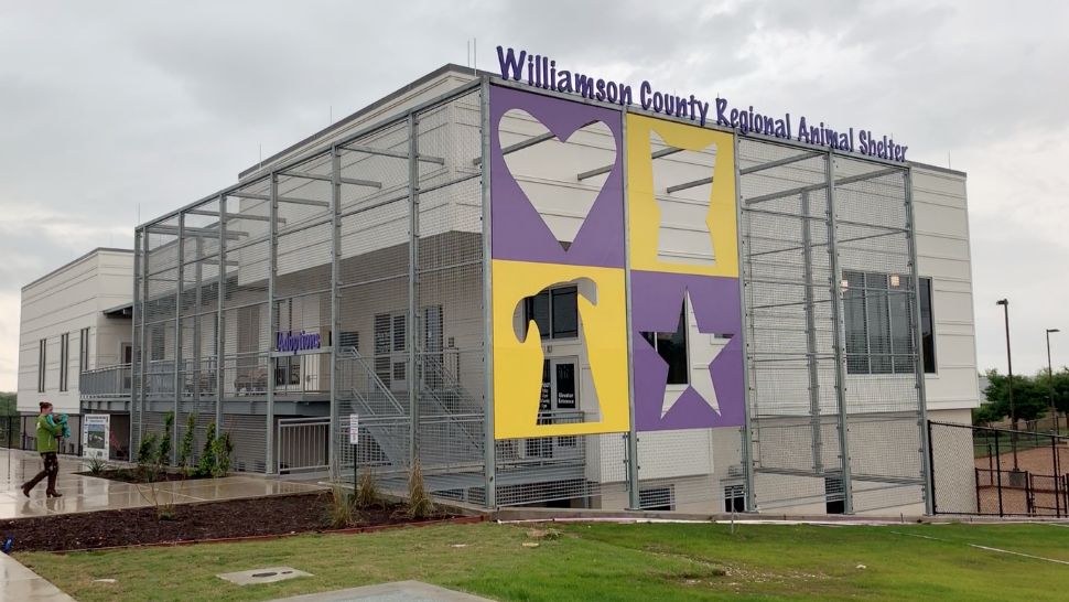 Outside photo of the Williamson County Regional Animal Shelter. (Stacy Rickard/Spectrum News)