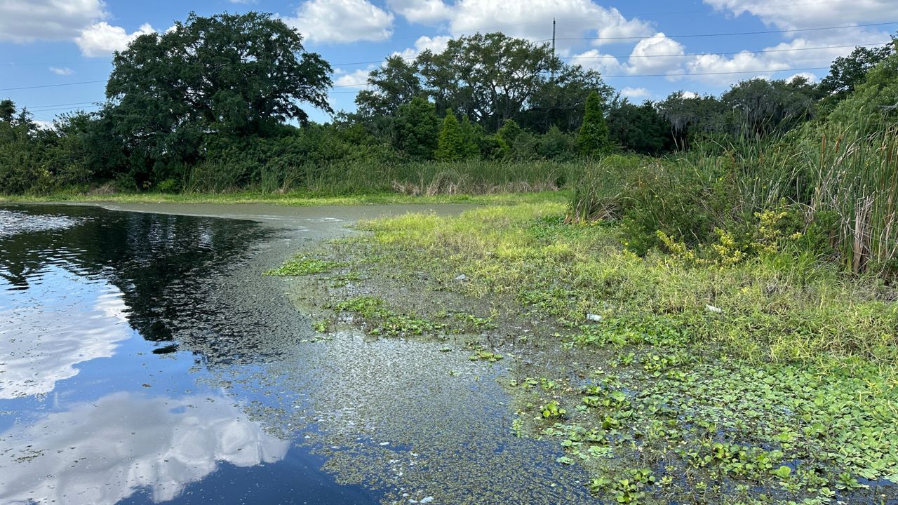 AmeriCorps cuts already impacting Wisconsin environmental service group
