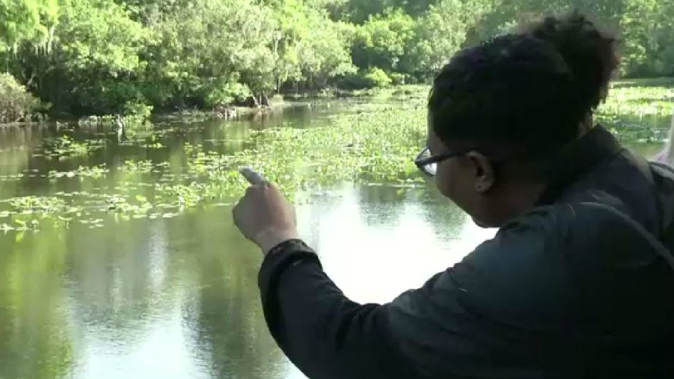 Students who sign up for Nature's Classroom, a summer camp hosted by Hillsborough County, can test water samples and learn about Florida's native wildlife. (Spectrum Bay News 9)