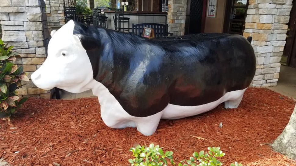 A plastic cow, similar to the one picture above, was stolen from Harold Seltzer's Steak House in St. Petersburg. (Courtesy of St. Petersburg Police)