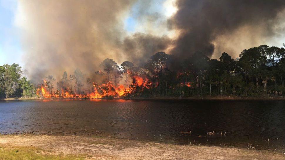 Brush fire burning in a wooded area of Melbourne 