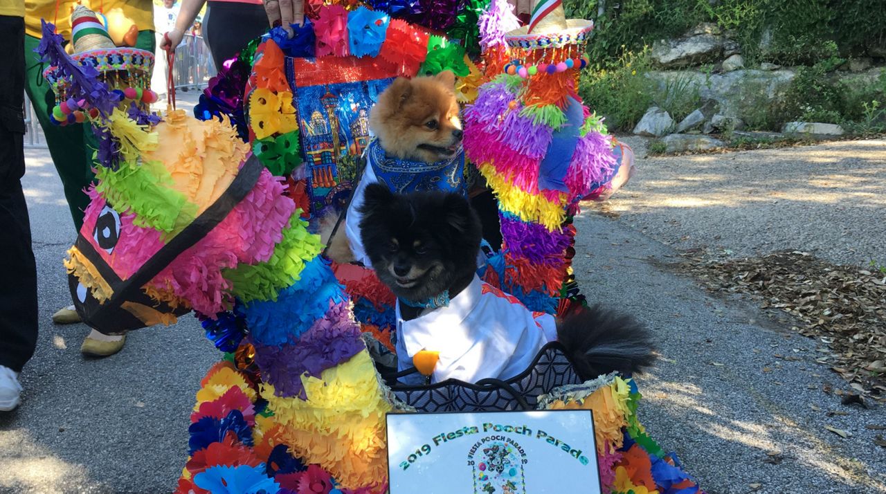 King Anbarkio's Owner Honored at 21st Fiesta Pooch Parade