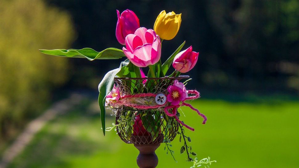 lotto mother's day results