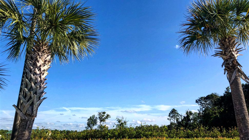 Submitted via the Spectrum News 13 app: Blue skies were over Flagler County on Tuesday, May 01, 2018. (Joyce Connolly, viewer)