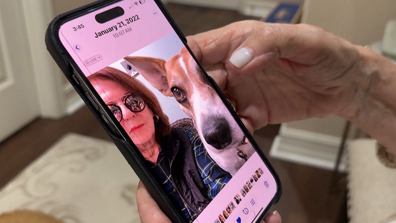 In November 2022, Nancy Cerniglia lived the darkest day of her life after two aggressive dogs attacked her dog and her while on a walk. Her dog died. (Spectrum News 13)